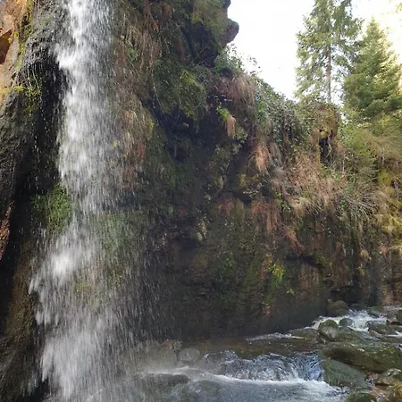 Zum Schwalbennest Appartement *