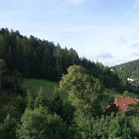 Zum Schwalbennest * Todtmoos