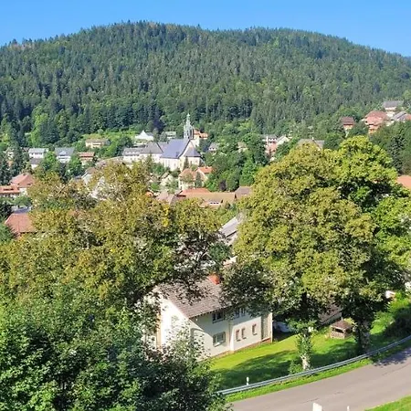 Zum Schwalbennest Apartment Todtmoos