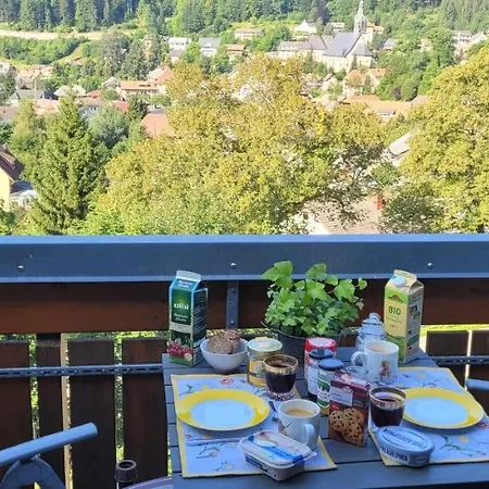 Zum Schwalbennest Appartement *