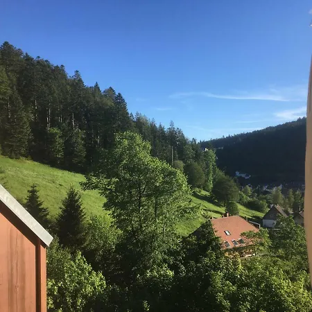 Zum Schwalbennest *