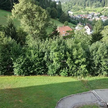 Zum Schwalbennest Appartement