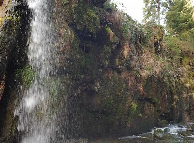 Zum Schwalbennest Apartment *