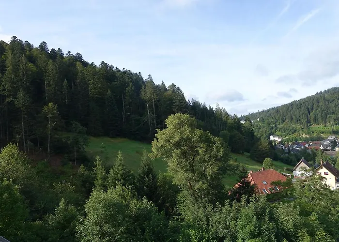 Zum Schwalbennest * Todtmoos