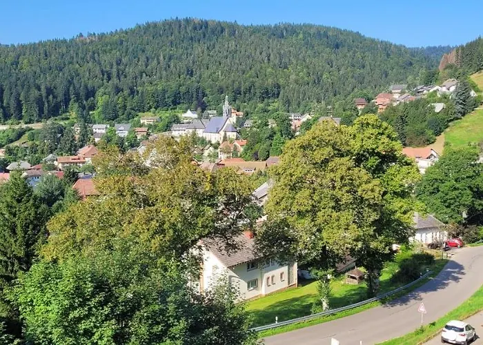 Zum Schwalbennest Apartment Todtmoos