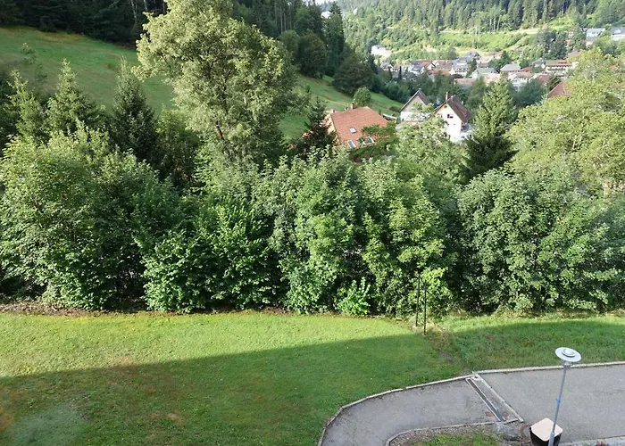 Zum Schwalbennest Apartment